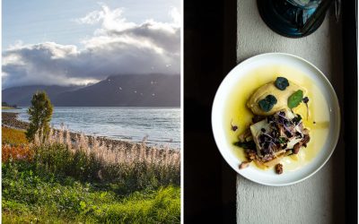 Tromsø – Hauptstadt der Arktis mit vielen köstlichen Entdeckungen