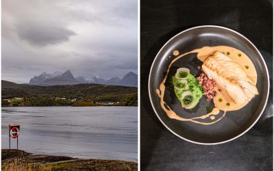 Bodø – höher in den Norden, wo Kulinarik, Kultur und traumhafte Natur sich treffen