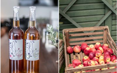 Wo man die besten Hofläden und Winzer im südschwedischen Skåne findet