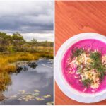 Estlands mystische Moore, pinkfarbene Suppe und große Küche am Meer in Pärnu