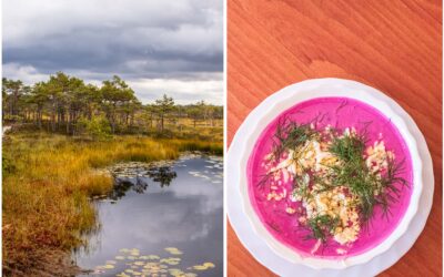 Estlands mystische Moore, pinkfarbene Suppe und große Küche am Meer in Pärnu