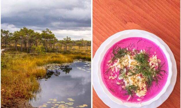 Estlands mystische Moore, pinkfarbene Suppe und große Küche am Meer in Pärnu