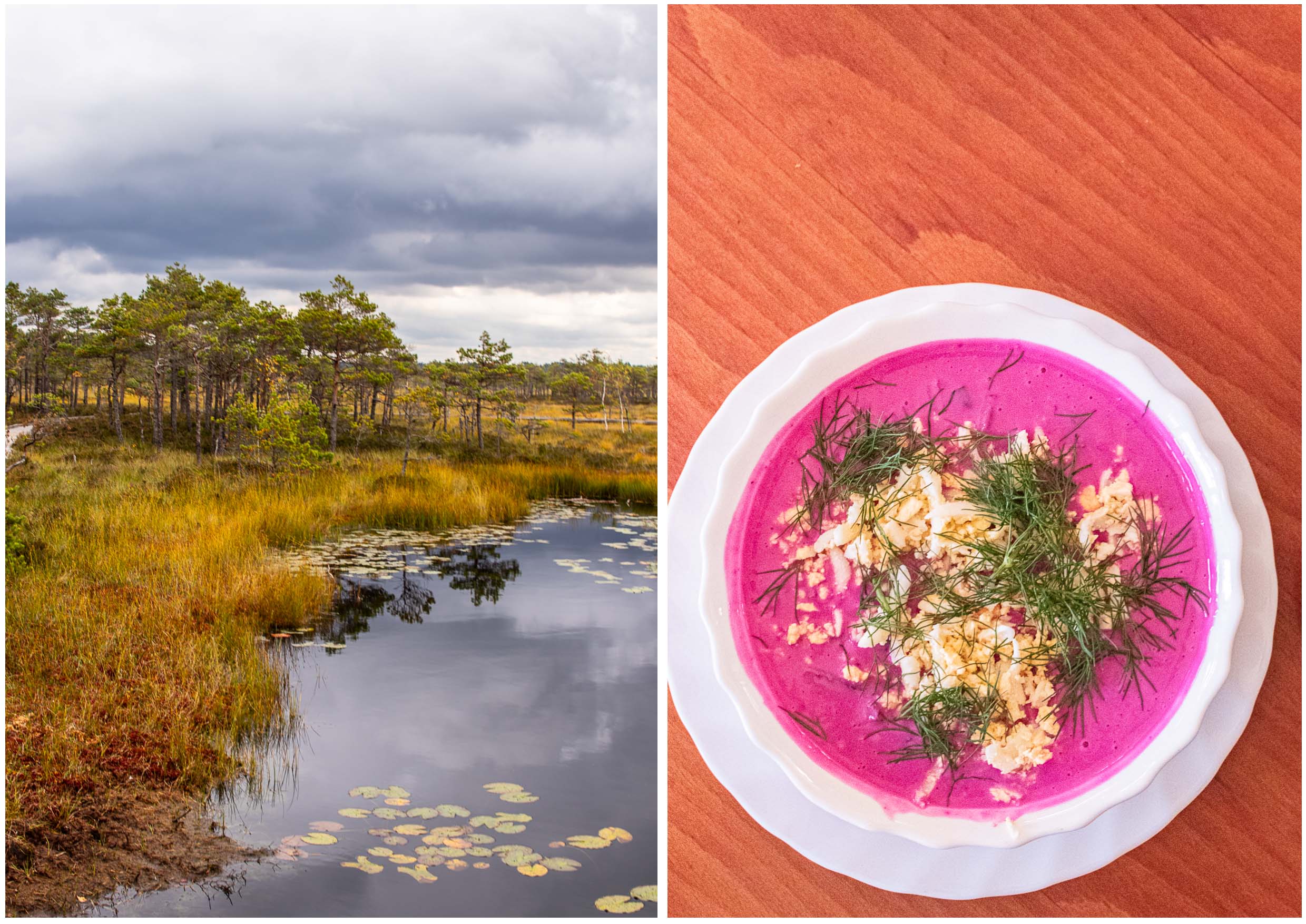 Estlands mystische Moore, pinkfarbene Suppe und große Küche am Meer in Pärnu
