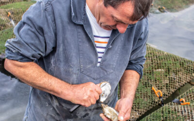 Austern-Galore auf Noirmoutier-en-l’Île – mit dem Austernfarmer auf dem Meer