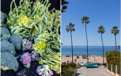 California Roadtrip: Bauernmarkt in Hollywood, Beach Vibes und jede Menge spicy Margaritas