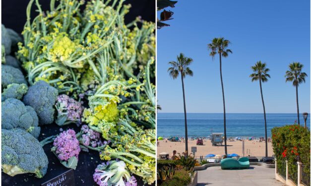 California Roadtrip: Bauernmarkt in Hollywood, Beach Vibes und jede Menge spicy Margaritas