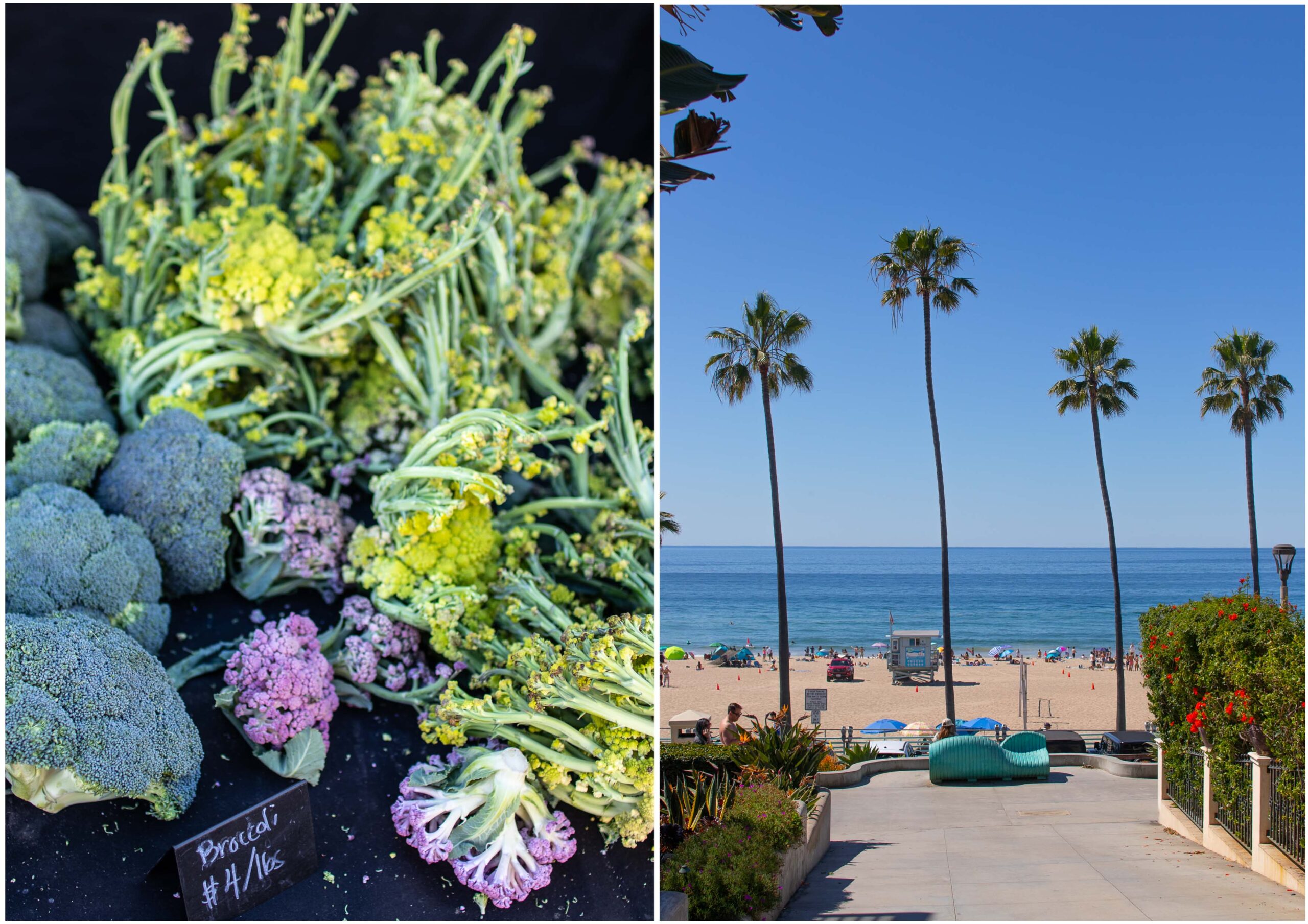 California Roadtrip: Bauernmarkt in Hollywood, Beach Vibes und jede Menge spicy Margaritas