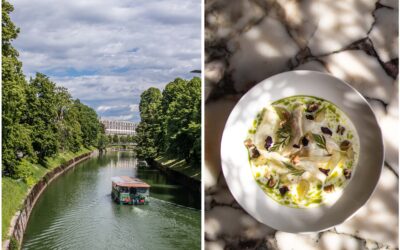 Köstliches Ljubljana – für Genießer großartiger Küche und die Entdeckung von slowenischem Wein
